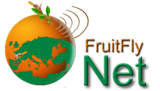 FruitFlyNet